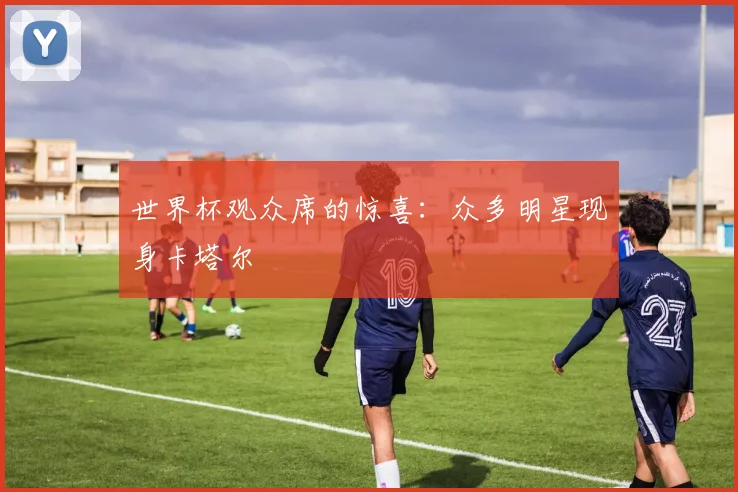 世界杯观众席的惊喜：众多明星现身卡塔尔