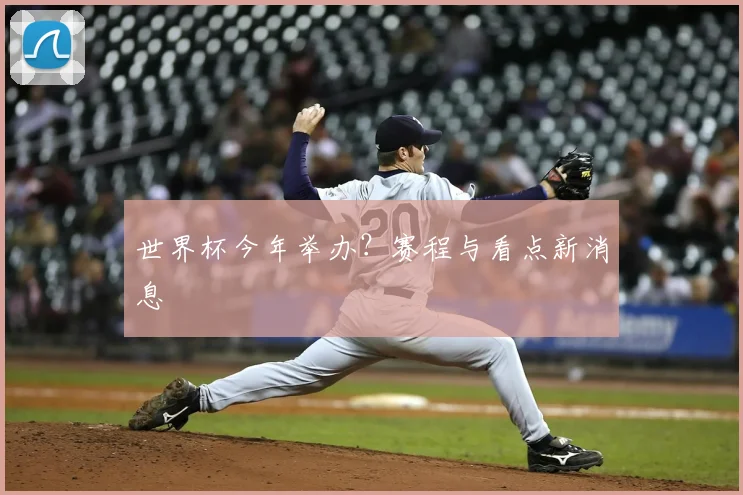 世界杯今年举办？赛程与看点新消息