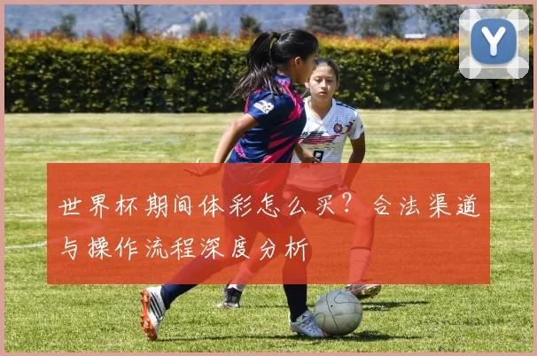 世界杯期间体彩怎么买？合法渠道与操作流程深度分析