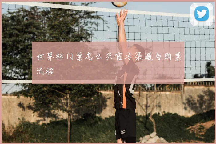 世界杯门票怎么买官方渠道与购票流程