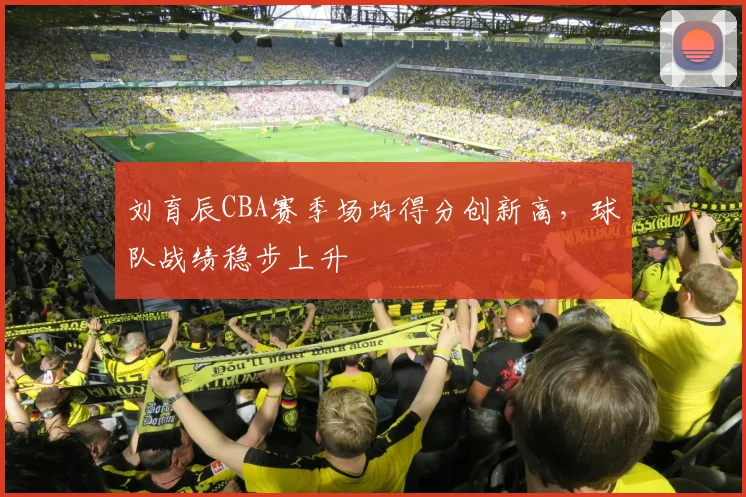 刘育辰CBA赛季场均得分创新高，球队战绩稳步上升
