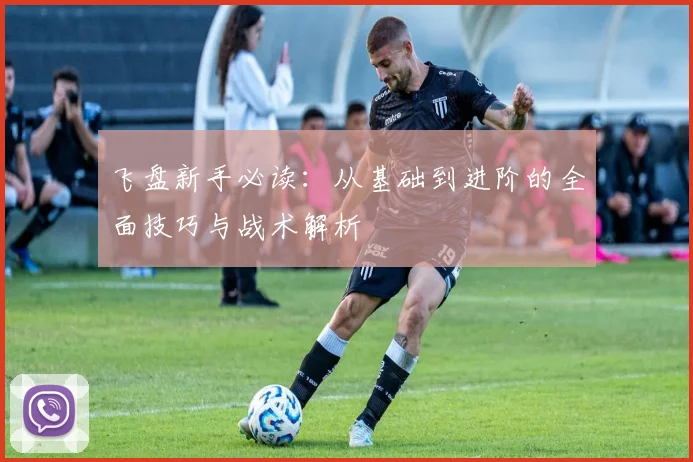 飞盘新手必读：从基础到进阶的全面技巧与战术解析