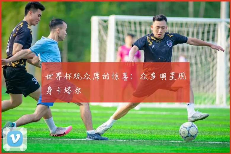 世界杯观众席的惊喜：众多明星现身卡塔尔