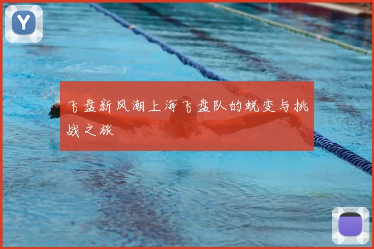 飞盘新风潮上海飞盘队的蜕变与挑战之旅