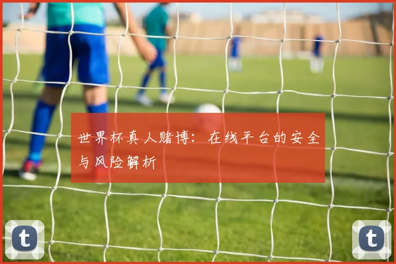 世界杯真人赌博：在线平台的安全与风险解析