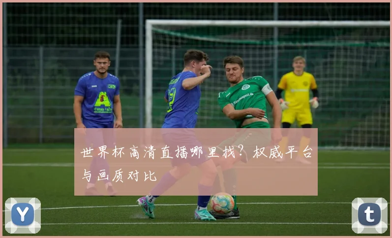 世界杯高清直播哪里找？权威平台与画质对比
