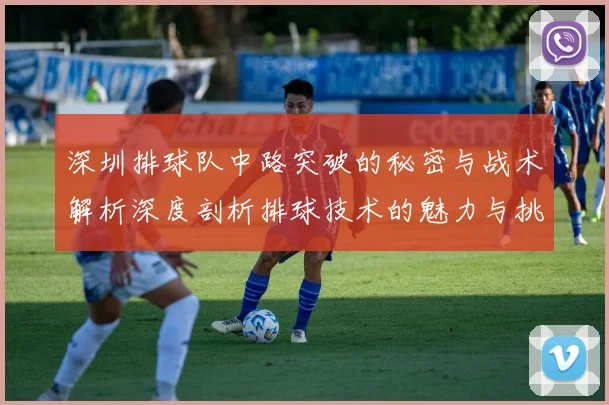 深圳排球队中路突破的秘密与战术解析深度剖析排球技术的魅力与挑战
