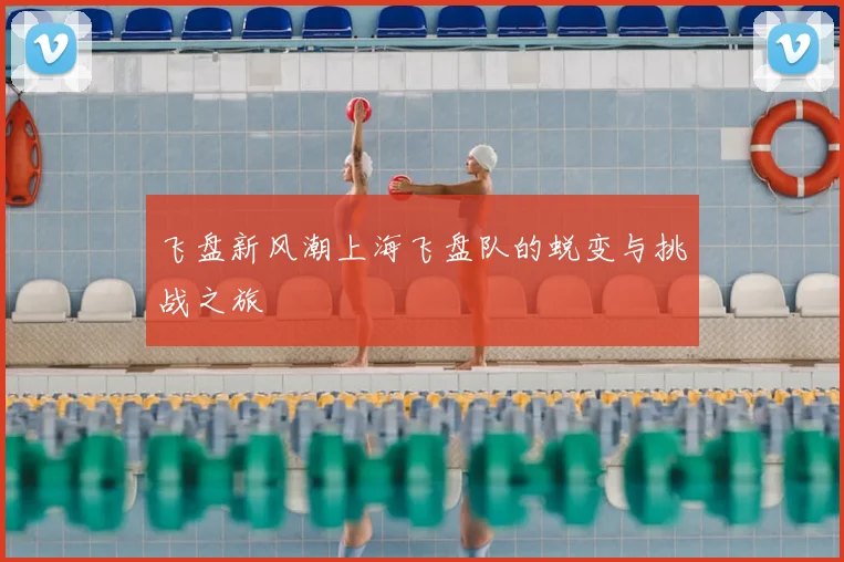 飞盘新风潮上海飞盘队的蜕变与挑战之旅