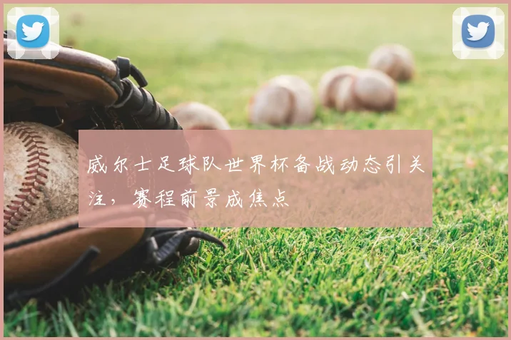 威尔士足球队世界杯备战动态引关注，赛程前景成焦点