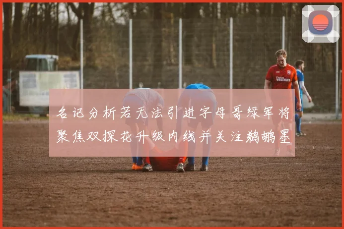 名记分析若无法引进字母哥绿军将聚焦双探花升级内线并关注鹈鹕墨菲