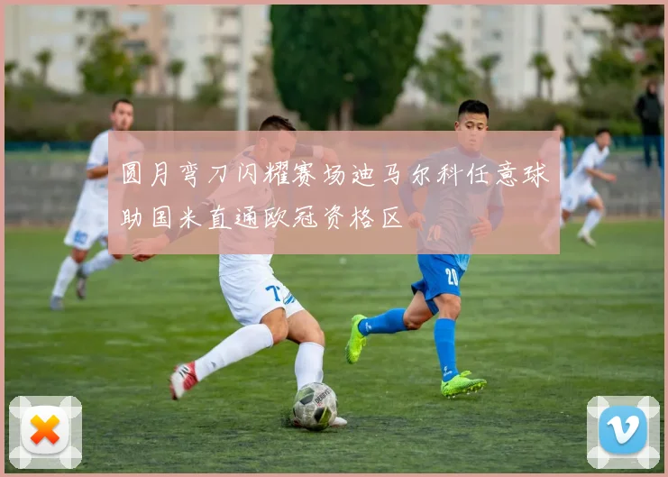 圆月弯刀闪耀赛场迪马尔科任意球助国米直通欧冠资格区