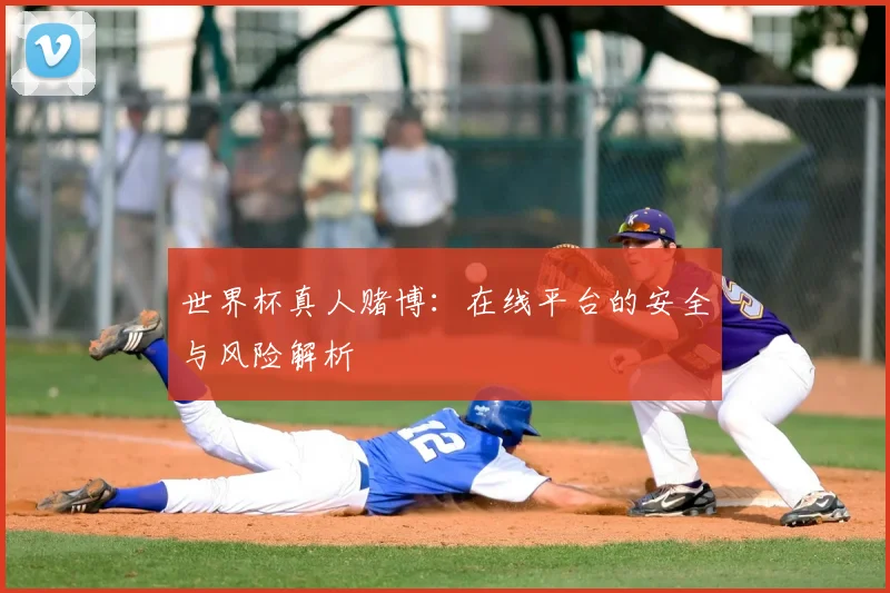 世界杯真人赌博：在线平台的安全与风险解析