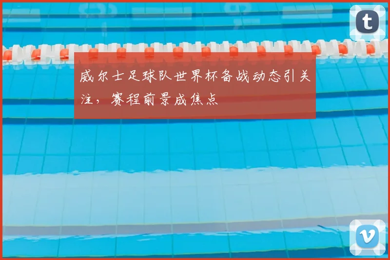 威尔士足球队世界杯备战动态引关注，赛程前景成焦点