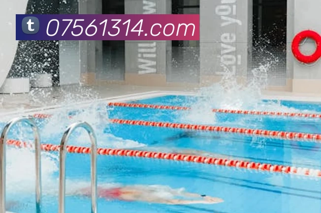 华体官方版网站平台生态图