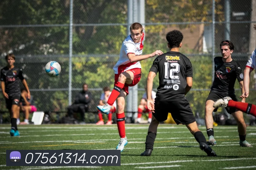 辅助工具 辅助工具